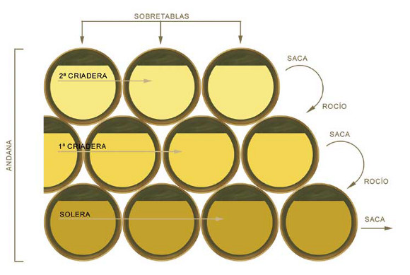 CRIADERAS Y SOLERA